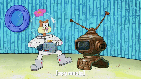 season 9 the fish bowl GIF by SpongeBob SquarePants