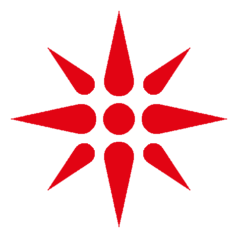 Star Red Logo Sticker by KJG a.s.