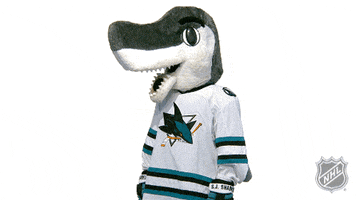Ice Hockey No GIF by NHL