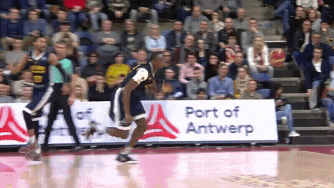 fans crowd GIF by Basketball Champions League