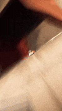 Cartman Kenny GIF by Youtooz