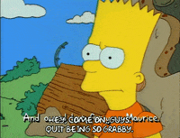 Season 1 GIF by The Simpsons