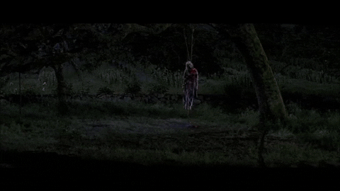 MikeMedianoche giphygifmaker GIF