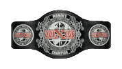 Women Championship Sticker by wXw Wrestling