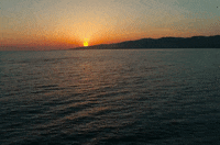 california GIF