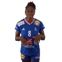 Ffhandball Sticker by Fédération Française de Handball