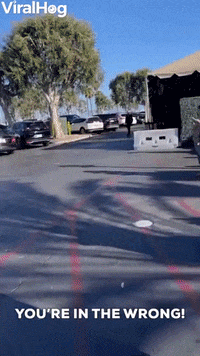 GIF by ViralHog