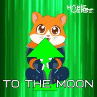 Lets Go Crypto GIF by Hamieverse