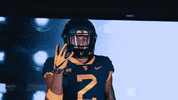 College Football GIF by WVU Sports