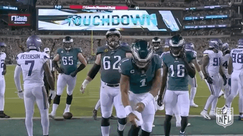 Philadelphia Eagles Dancing GIF by NFL