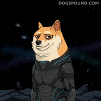 Shiba Inu Nod GIF by Doge Pound