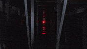 ladyraiderwbb vivian gray GIF