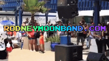 ModernHistorics rock band wild wing rodney moon GIF