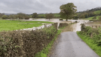 'New Lake' Emerges in Southern England Following Storm Ciaran Flood