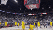 Lets Go Summer GIF by NBA