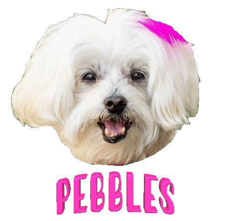 Dog Pebbles Sticker
