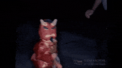 GIF by Texas Archive of the Moving Image