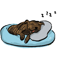 world_of_scratch dog scratch food coma staffy Sticker