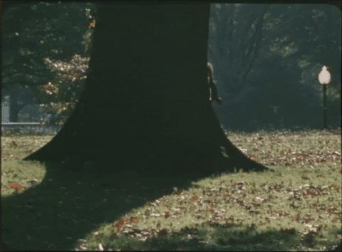 1968 GIF by lbjlibrary