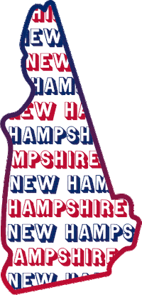 United States Usa Sticker