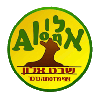 Sheet Alon Sticker by yowsurf