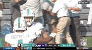 Miami Dolphins Football GIF by NFL
