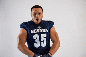 NevadaWolfPack football nevada wolf pack nevada wolf pack GIF