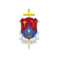 Aparecidaneopolis Sticker by Paróquia NSAparecida Natal