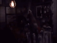 capitals pft GIF by Barstool Sports