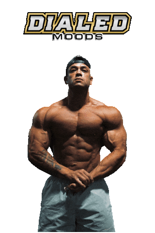 DialedMoods giphyupload happy wow mood Sticker