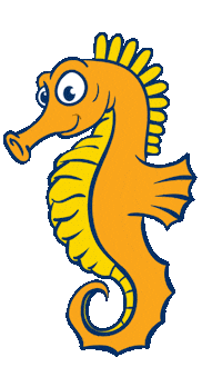 Vacation Swim Lessons Sticker by AquaTots