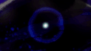 GIF by Zachary Zezima