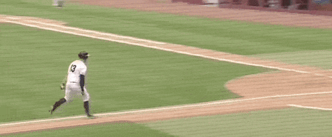 World Series Baseball GIF by NCAA Championships
