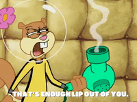 season 4 whale of a birthday GIF by SpongeBob SquarePants