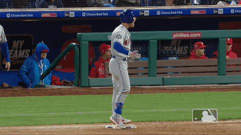 yell ny mets GIF by New York Mets