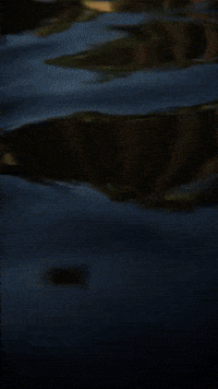 Playstation Naughtydog GIF by Youtooz