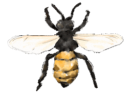 Honey Bee Garden Sticker