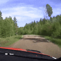 Racing Rallying GIF by FIA European Rally Championship