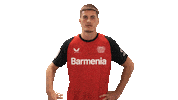 Oh No Leverkusen Sticker by Bundesliga