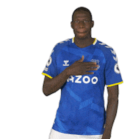 Celebrate Everton Fc Sticker by Everton Football Club