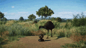 Wildlife Disco Ball GIF by Xbox