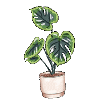 Home Plant Sticker by TWG Designs