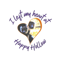 HHPZOO  Sticker
