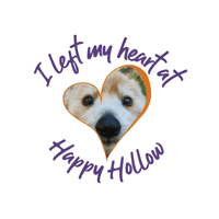 HHPZOO  Sticker