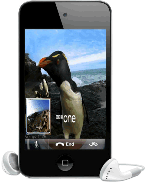 iphone penguins GIF by Cheezburger