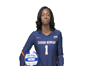 C-N Volleyball Sticker by Carson-Newman Athletics
