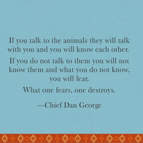 American Respect GIF by George Longovitis