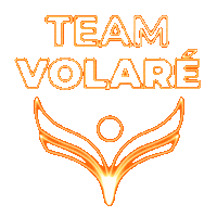 volaregimnasia gymnastics gimnasia volare volaregimnasia Sticker