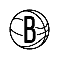 Brooklyn Nets Sticker by NBA