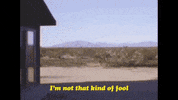 polyvinylrecords dancing superbike jay som melina duterte GIF